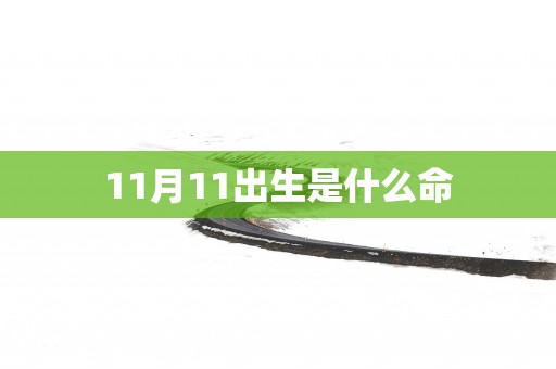 11月11出生是什么命