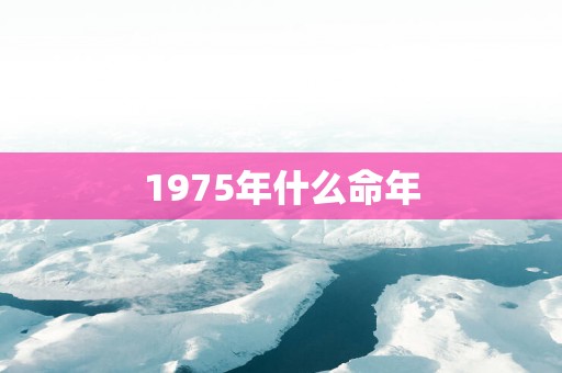 1975年什么命年