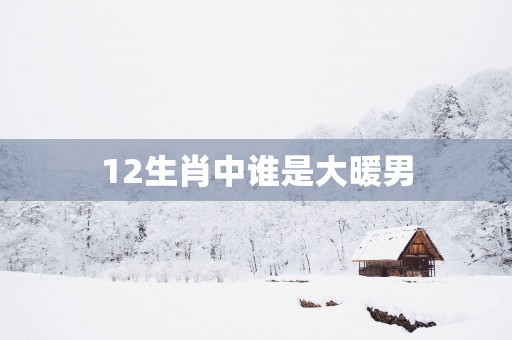12生肖中谁是大暖男