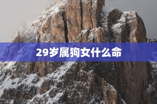 29岁属狗女什么命