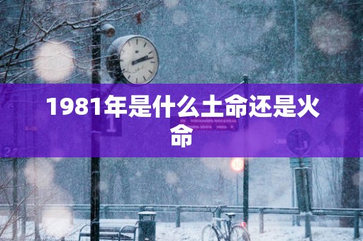 1981年是什么土命还是火命