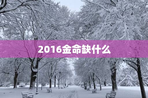 2016金命缺什么
