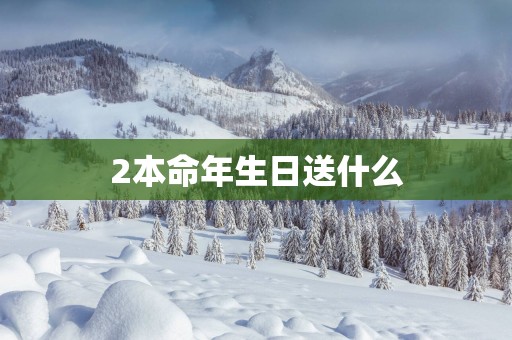 2本命年生日送什么