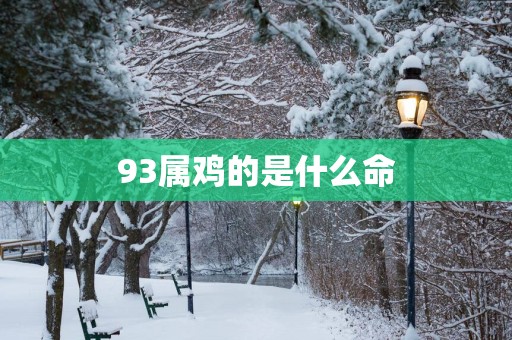 93属鸡的是什么命