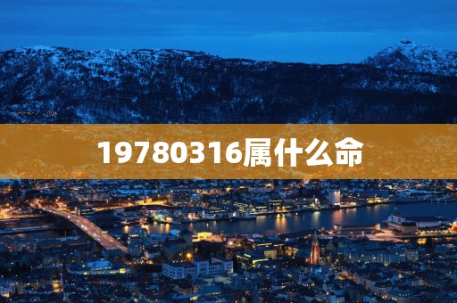 19780316属什么命
