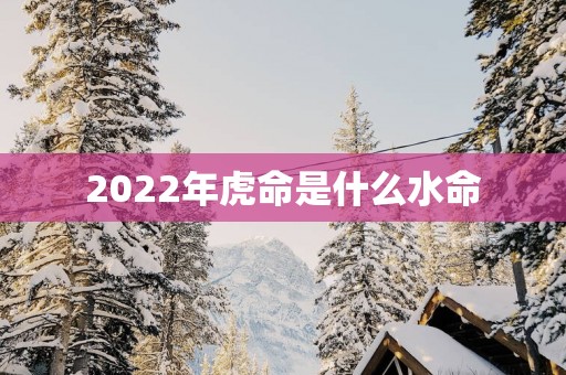2025年虎命是什么水命