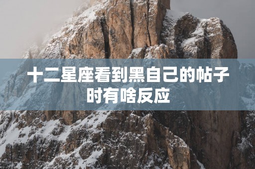 十二星座看到黑自己的帖子时有啥反应