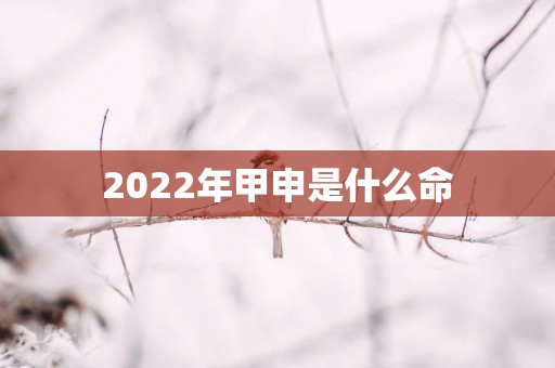 2025年甲申是什么命