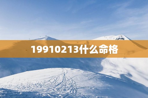 19910213什么命格