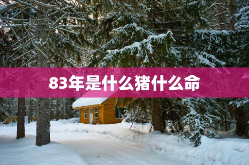 83年是什么猪什么命