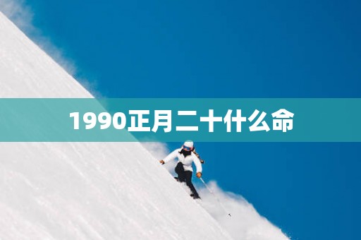 1990正月二十什么命