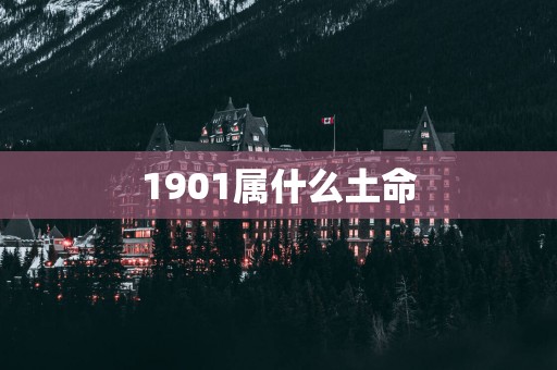 1901属什么土命 1901属什么土命
