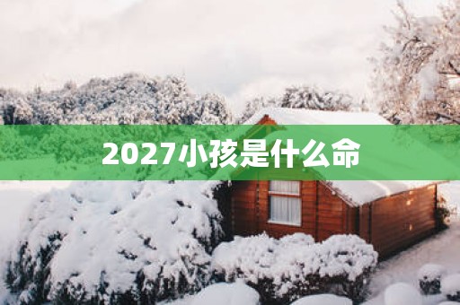 2027小孩是什么命
