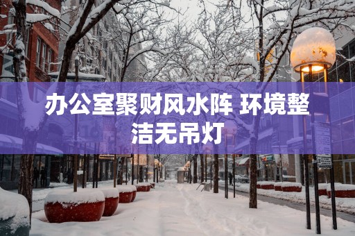 办公室聚财风水阵 环境整洁无吊灯