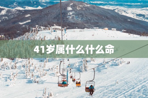 41岁属什么什么命