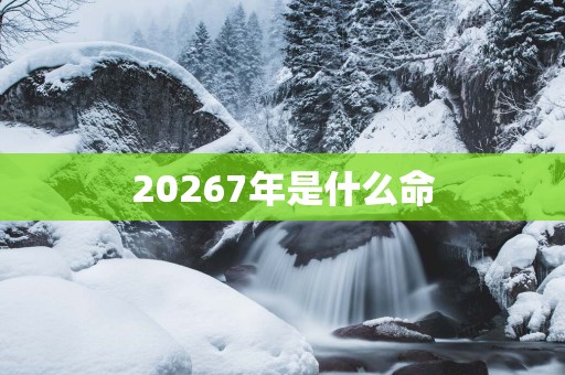 20267年是什么命