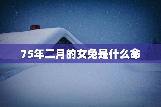 75年二月的女兔是什么命