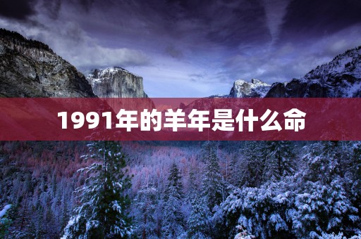 1991年的羊年是什么命