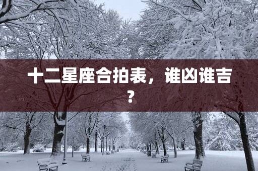 十二星座合拍表，谁凶谁吉？