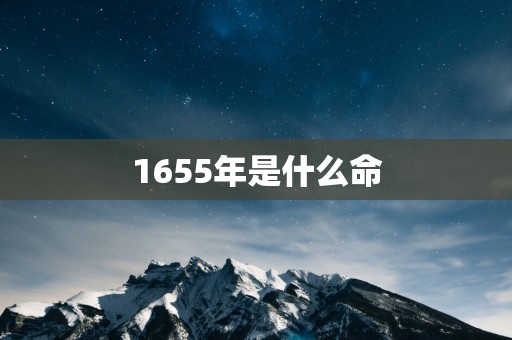 1655年是什么命