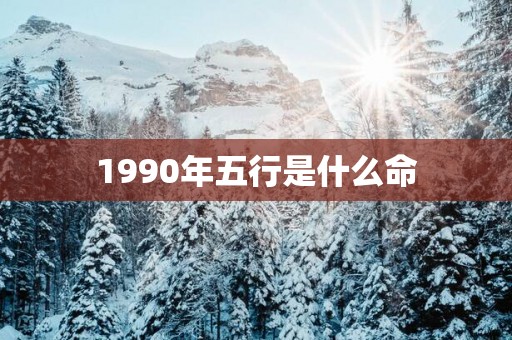 1990年五行是什么命