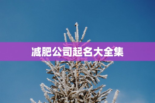 减肥公司起名大全集