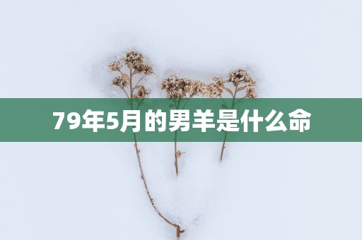 79年5月的男羊是什么命