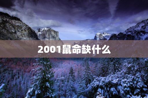 2001鼠命缺什么