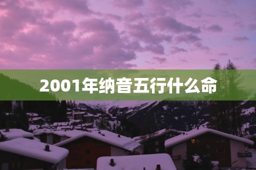 2001年纳音五行什么命