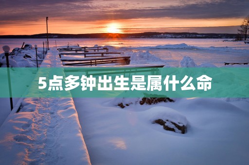 5点多钟出生是属什么命