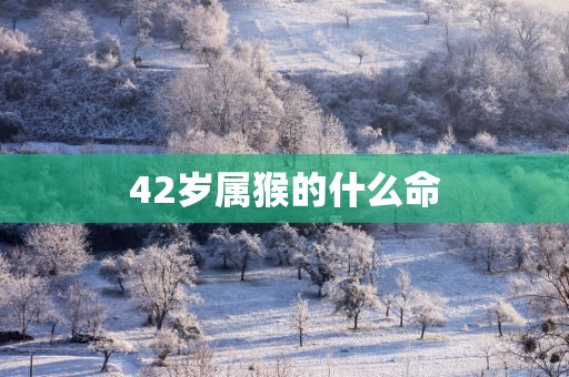 42岁属猴的什么命