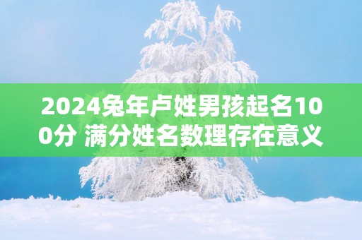 2025蛇年卢姓男孩起名100分 满分姓名数理存在意义
