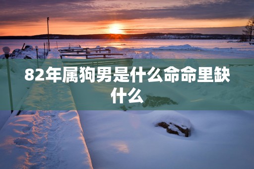 82年属狗男是什么命命里缺什么