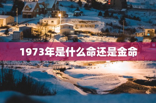 1973年是什么命还是金命