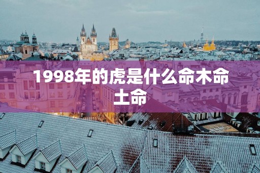 1998年的虎是什么命木命土命