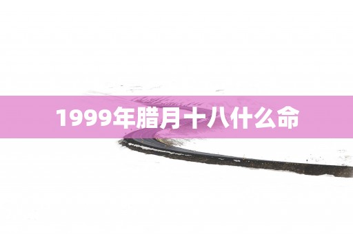 1999年腊月十八什么命