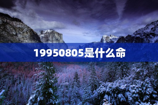 19950805是什么命