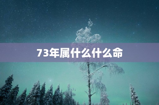 73年属什么什么命
