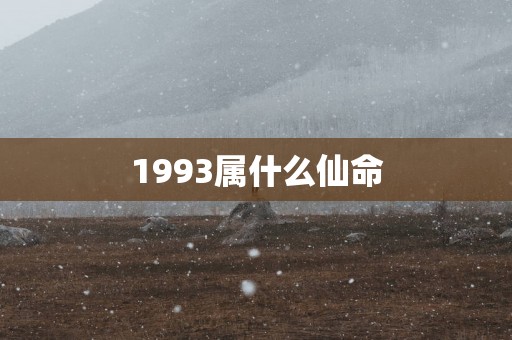 1993属什么仙命