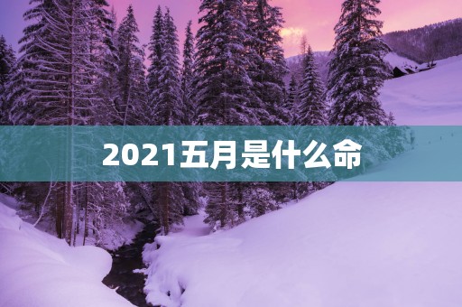 2025五月是什么命