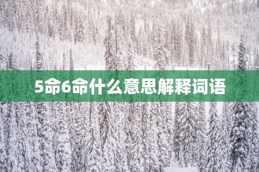 5命6命什么意思解释词语