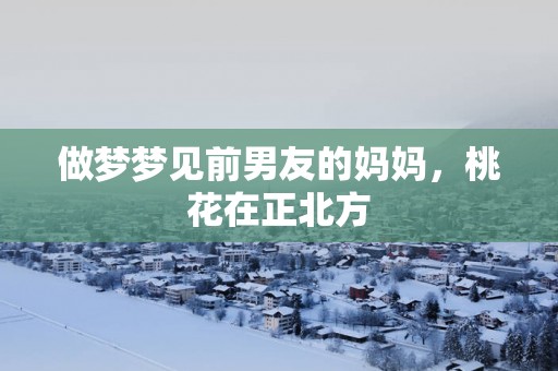 做梦梦见前男友的妈妈，桃花在正北方