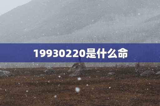 19930220是什么命