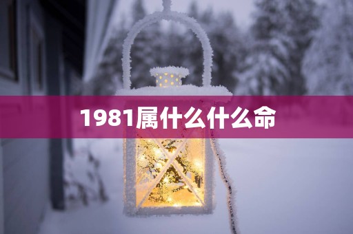 1981属什么什么命