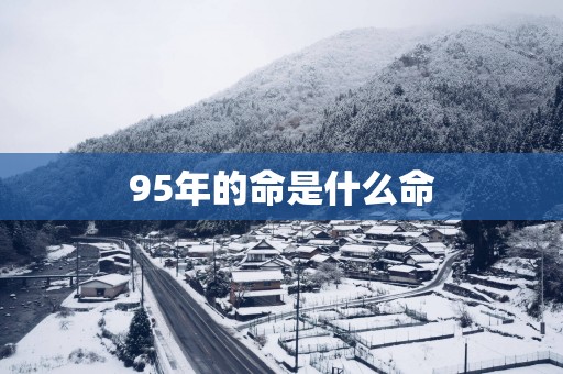 95年的命是什么命