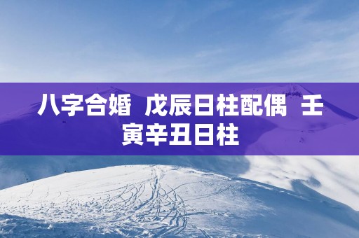 八字合婚  戊辰日柱配偶  壬寅辛丑日柱