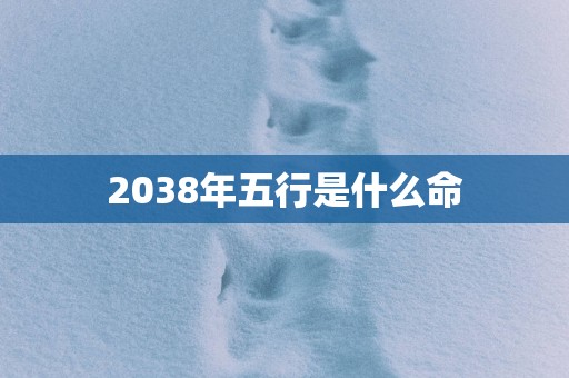 2038年五行是什么命