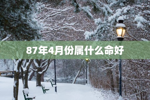 87年4月份属什么命好