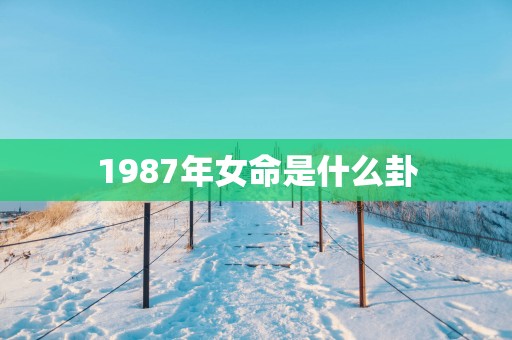 1987年女命是什么卦