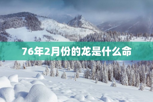 76年2月份的龙是什么命